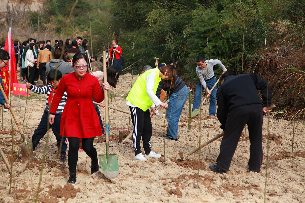 大学生三下乡社会实践报告：深入农村，助力发展