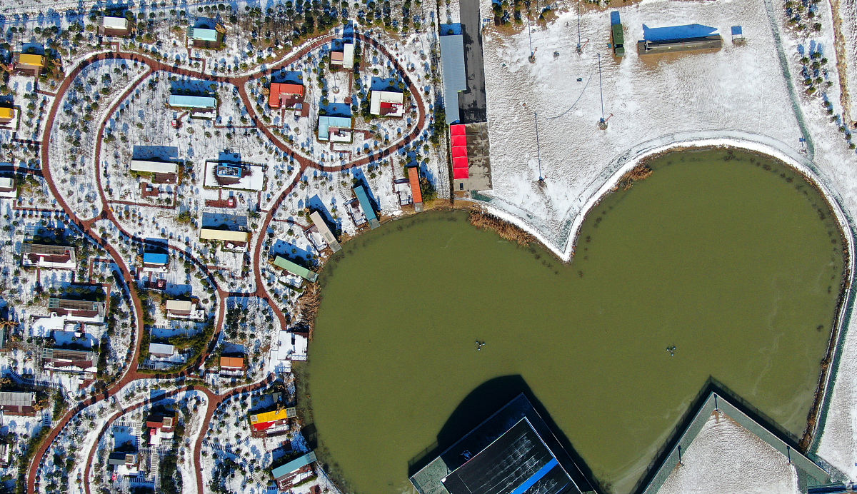 LintCode 3646: 计算环形街道上的房屋数量 - 暴力解法