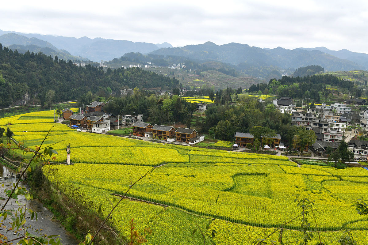 遵义医药高等专科学校2019年招生简章 - 贵州省医药类专科学校