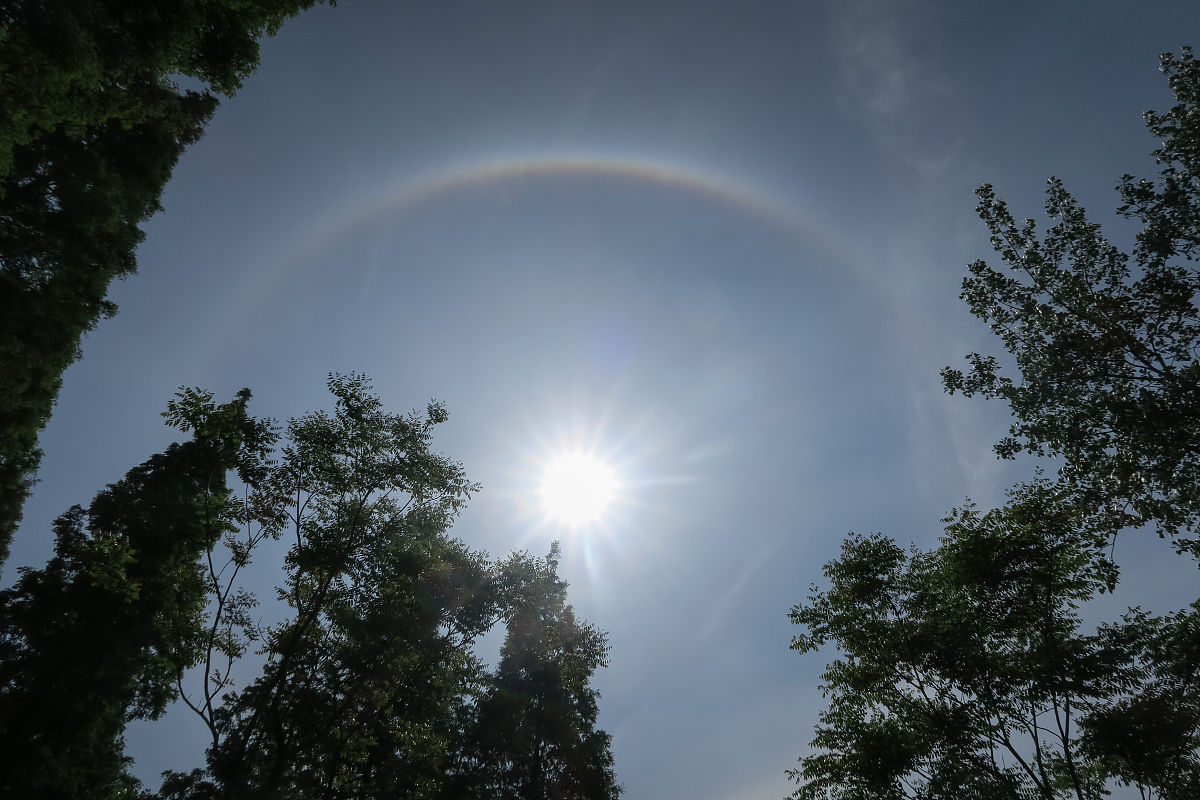 热浪现象：高温天气下为什么能看到明显的光线扭曲？