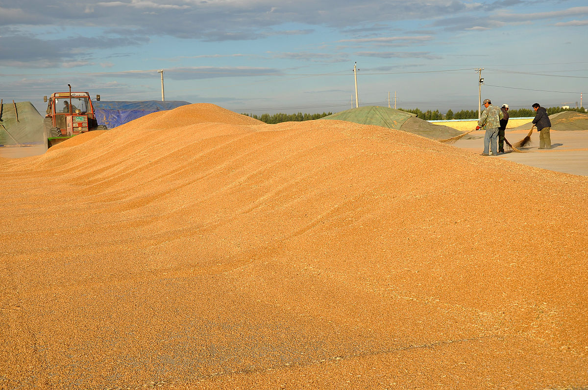 研究气候变化向北移动有什么意义