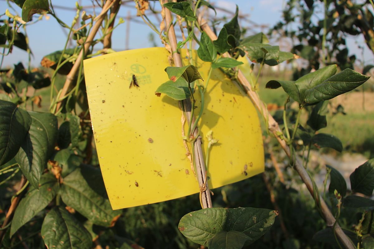 高中物理学习方法规划：高效学习技巧及重点