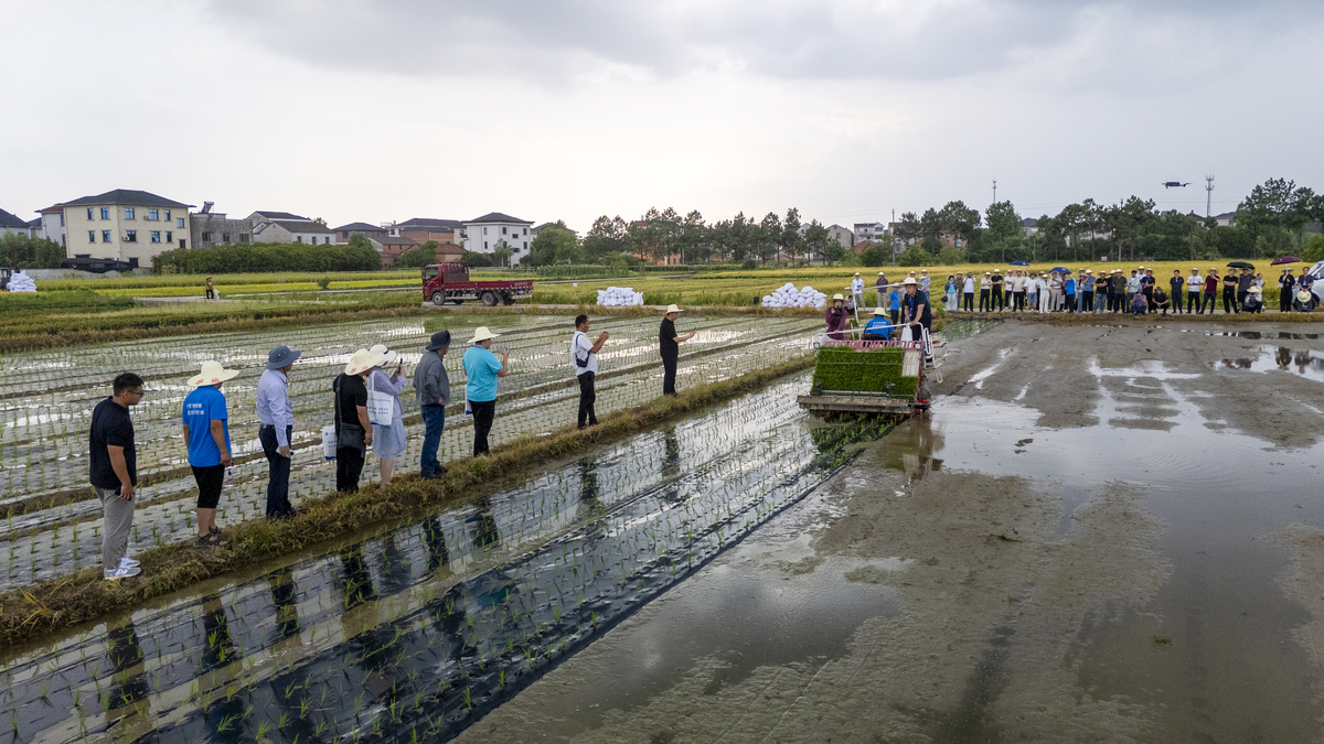 捕鱼与乡村振兴的关系写500字