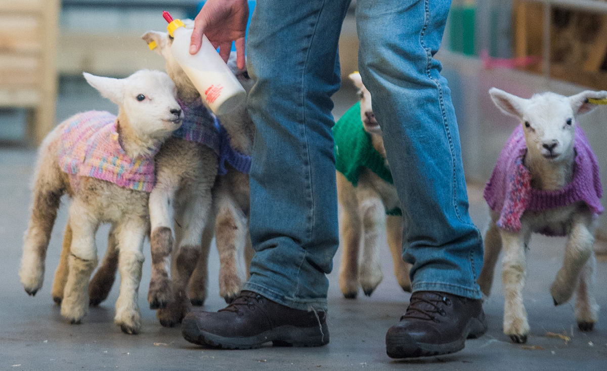 向镡莹文章赏析：精彩绝伦，温暖人心