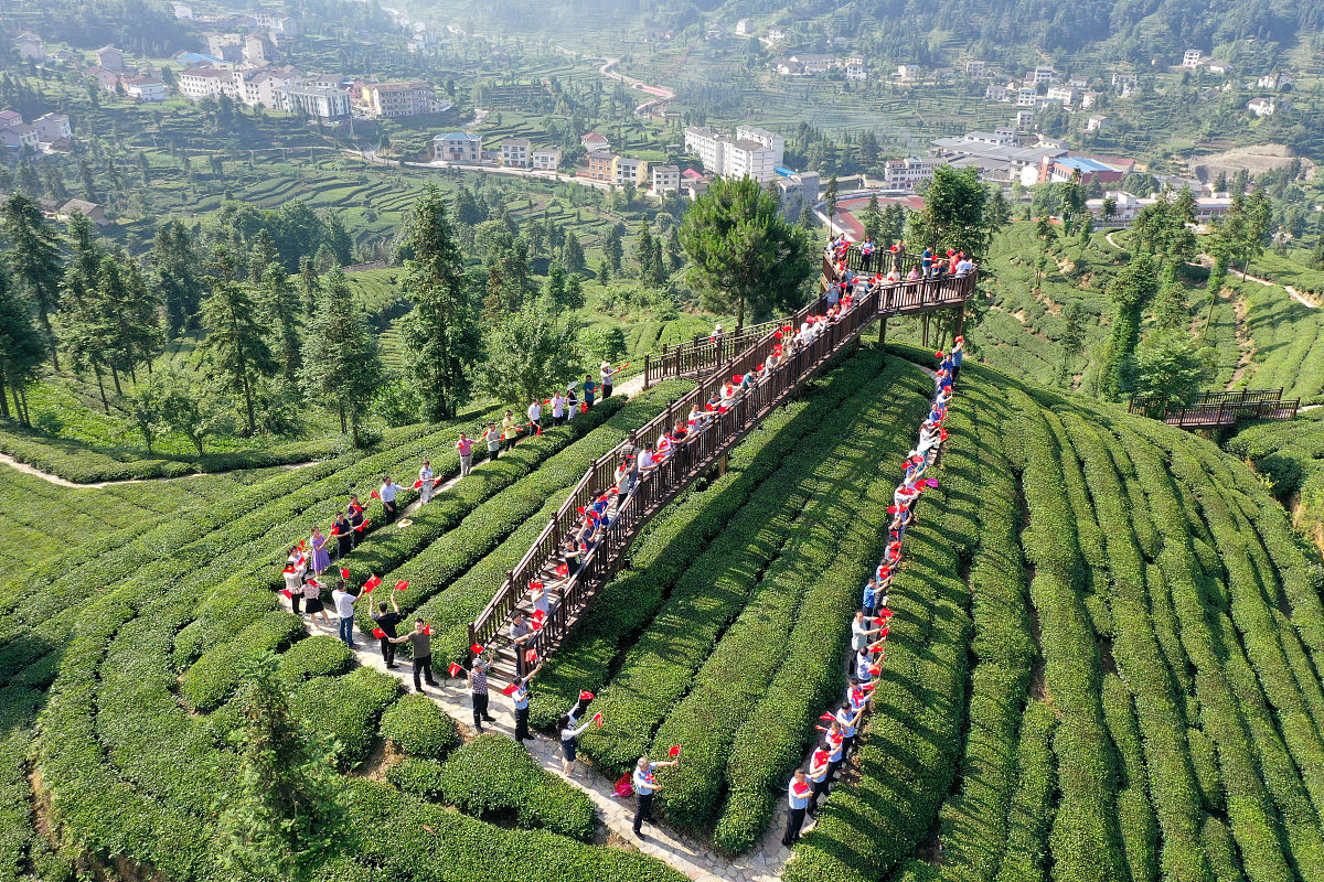 不忘初心，筑梦前行：小学生作文