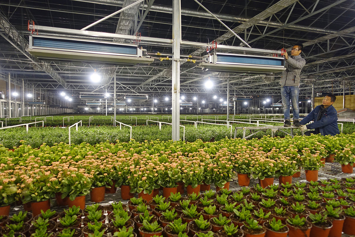 麒麟区农业学校2019年中考五年制大专招生专业介绍