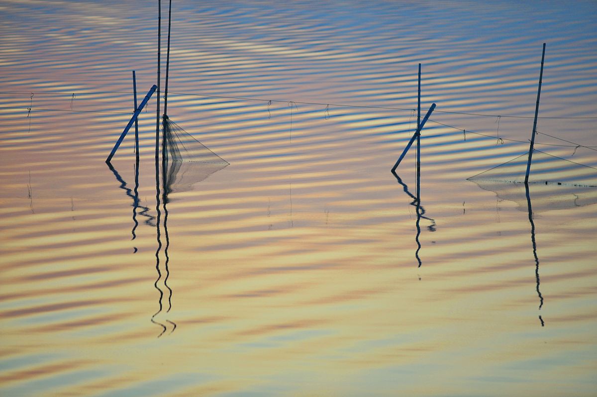 解释应力强度因子、应力﹣强度干涉模型、拓扑优化、稳健设计