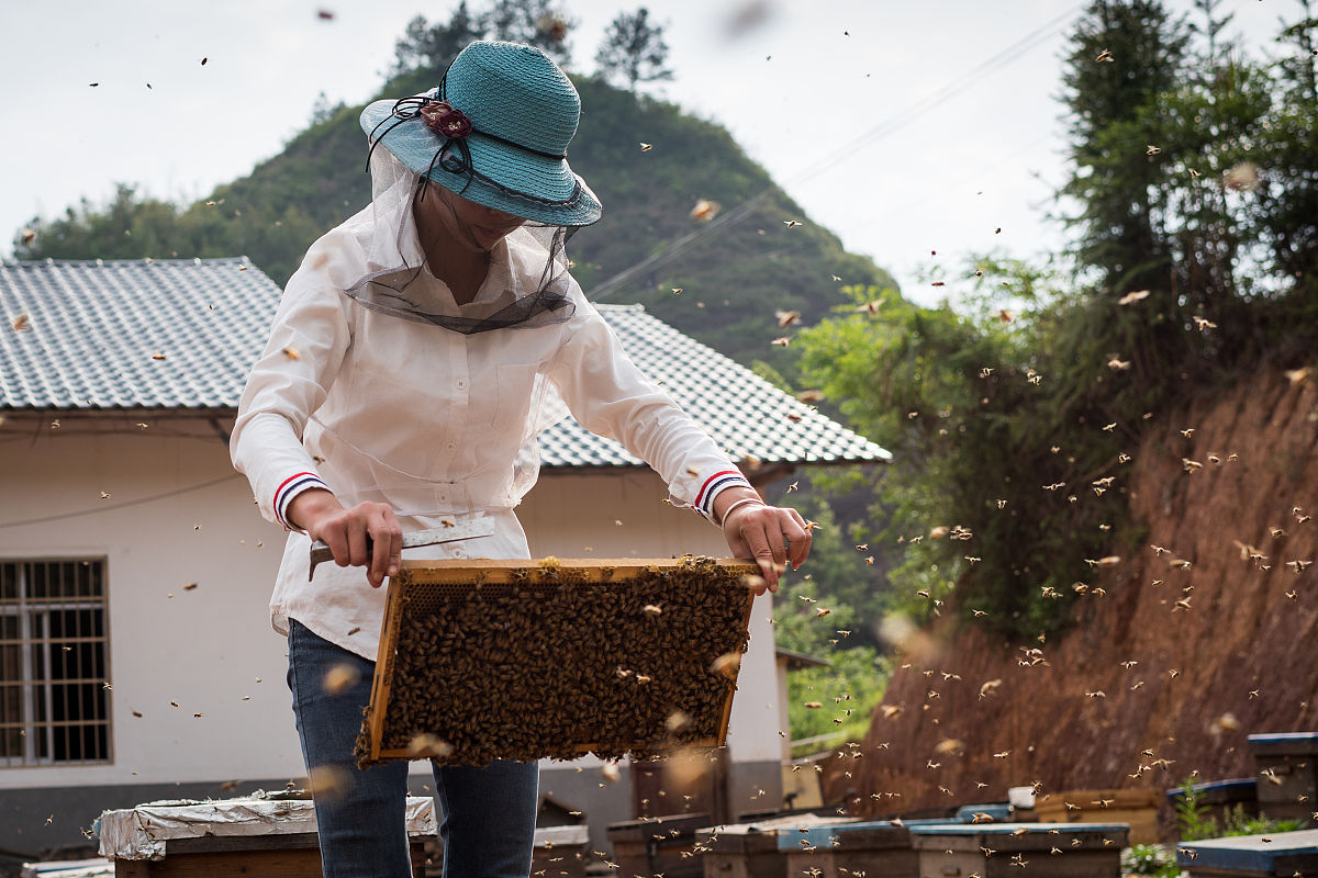 亦舒小说《我的前半生》人物解析：罗子君的成长与蜕变