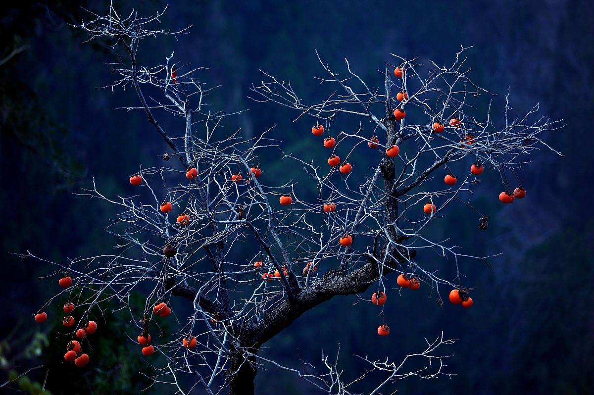 摄影中什么是色温