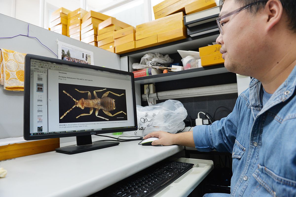 大连理工大学环境科学与工程类专业怎么样