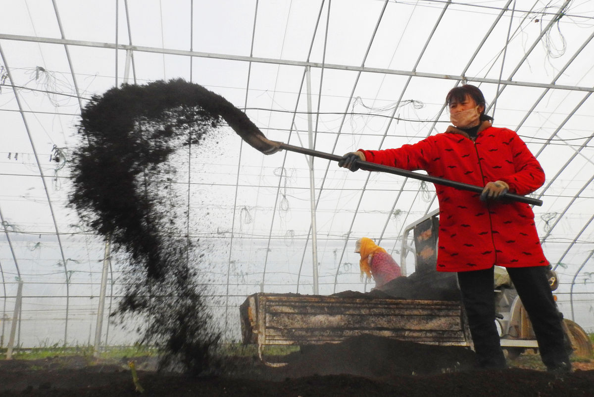 宁海县第一职业学校2023年来校路线怎么走-好不好