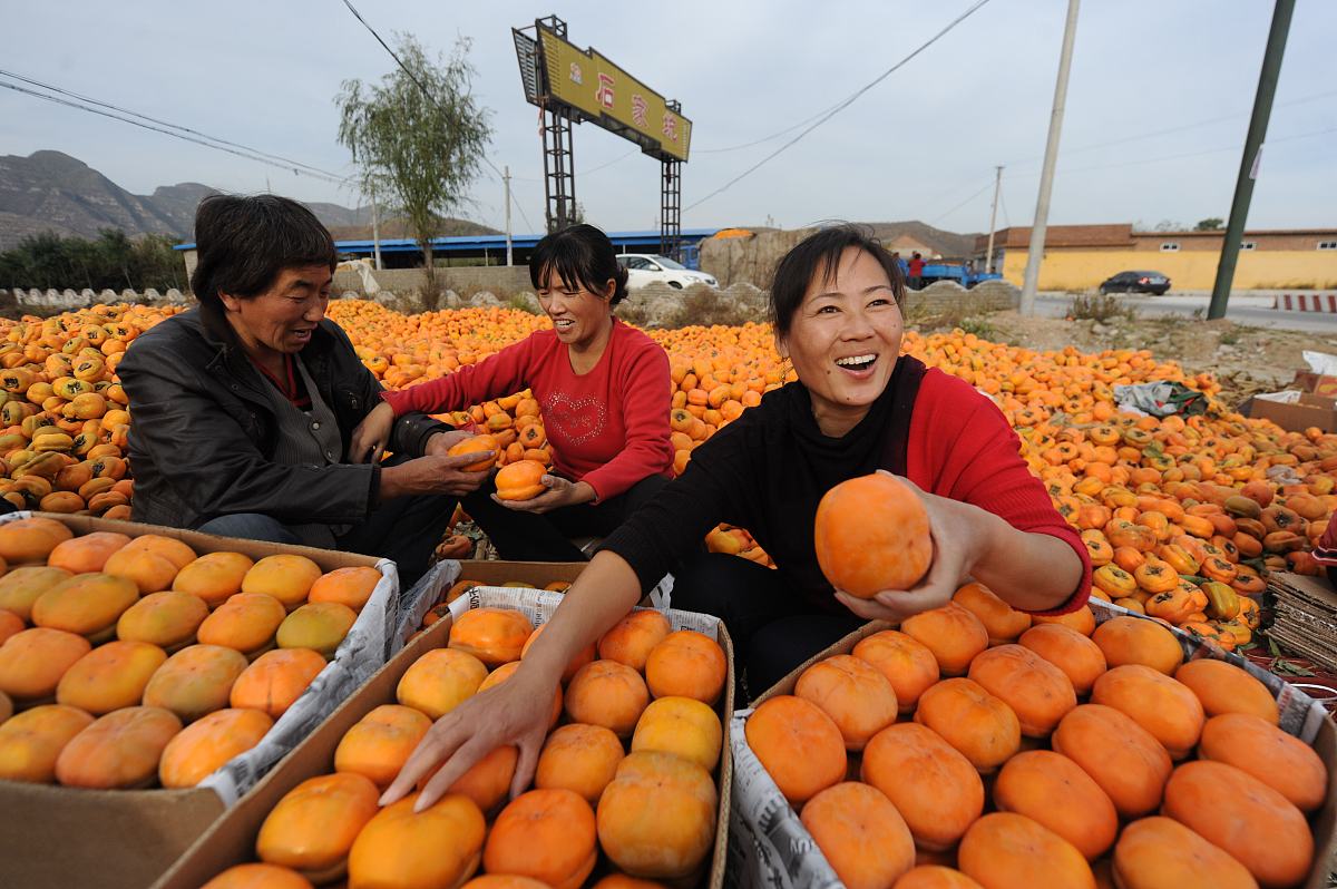 东北农业大学农业水利工程专业怎么样？就业前景如何？