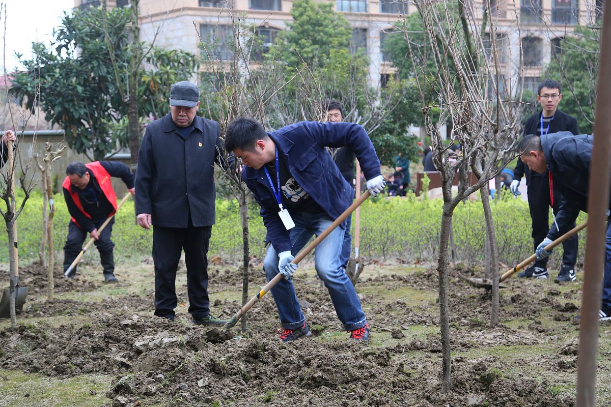 绿化养护劳务人员配置方案：巡查、养护、管理全方位解析