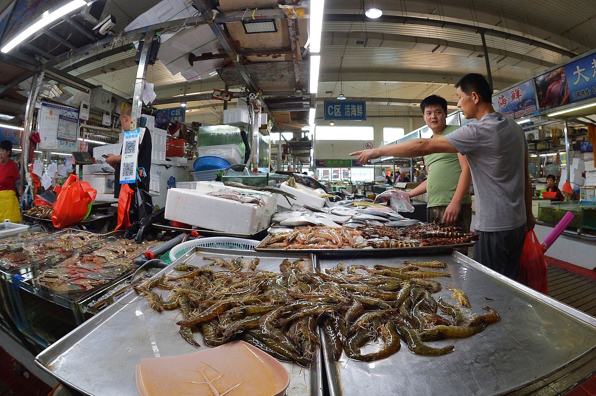 目的中国水产动物保健市场有哪些特点？