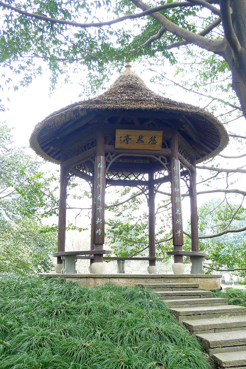 与'采菊东篱下，悠然见南山'相似的诗句 - 描绘自然之美，抒发闲适之情