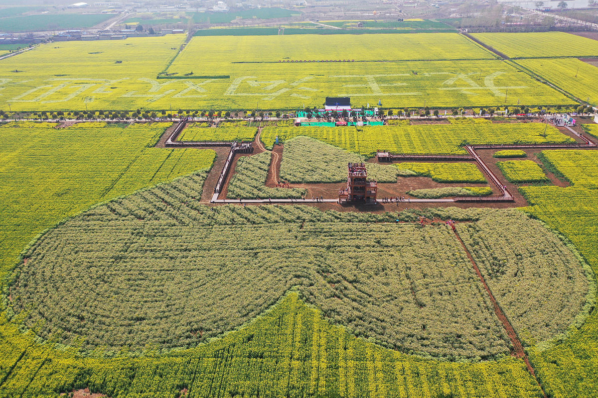 贵州职校农村经济综合管专业就业前景好不好？好就业吗