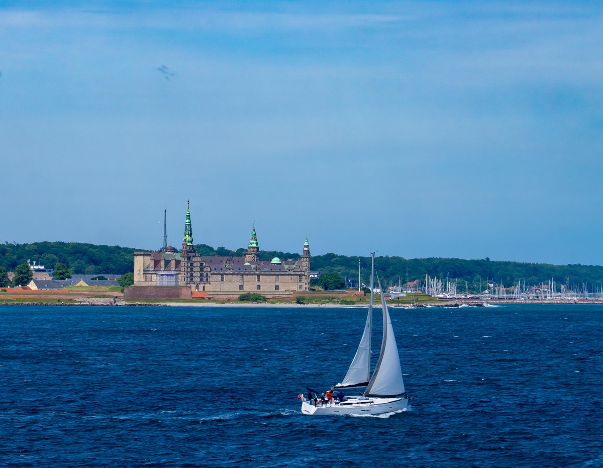 克罗恩病发病机制及治疗进展 - 最新研究综述