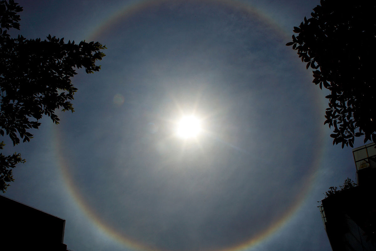 重庆万州商贸中等专业学校园艺有3+2五年制大专吗