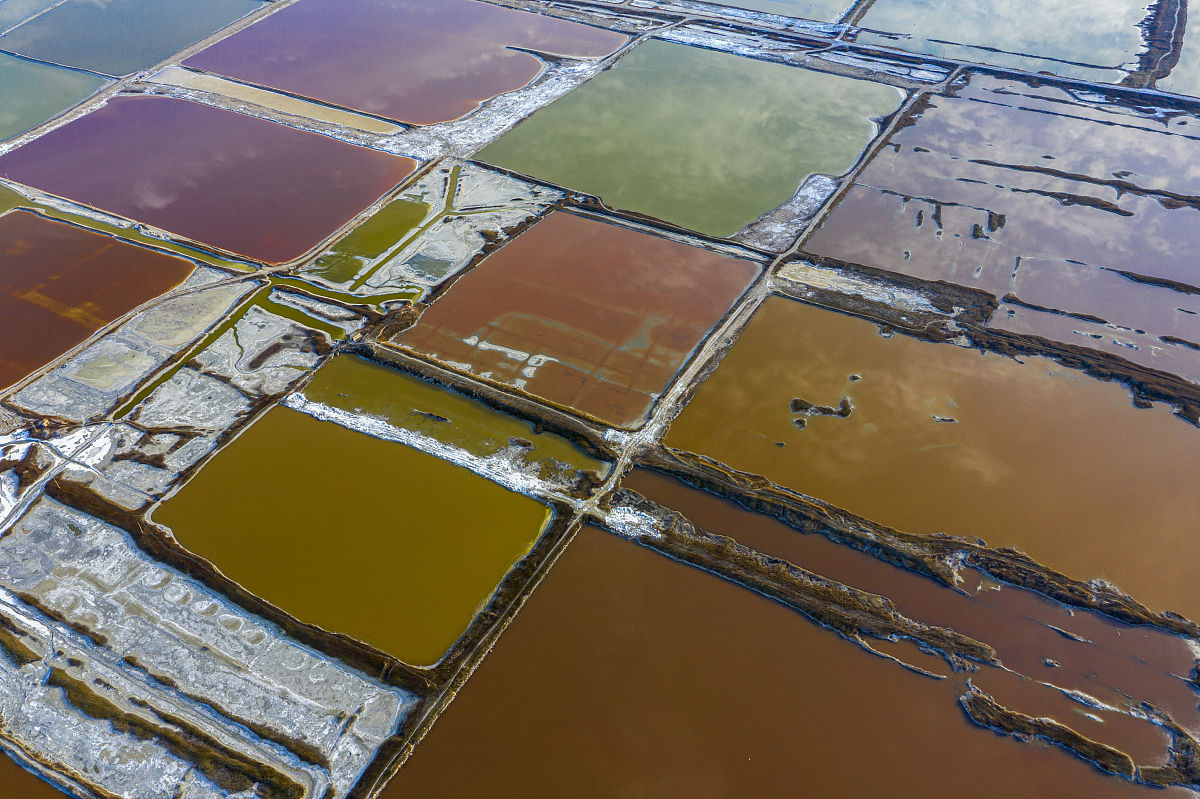 碧波探秘：骆马湖携手中国科学院共谱南水北调新篇章