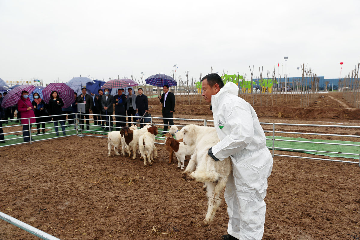 2021重庆有旅游服务与管理专业的中专中职学校有哪些