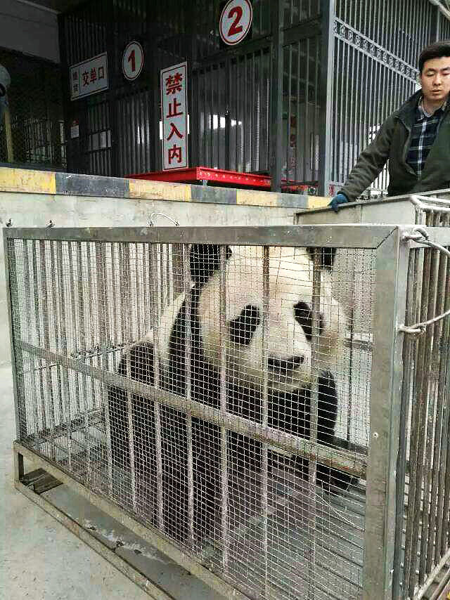 成都中心航空学院分享高密度航班成为渝台旅游