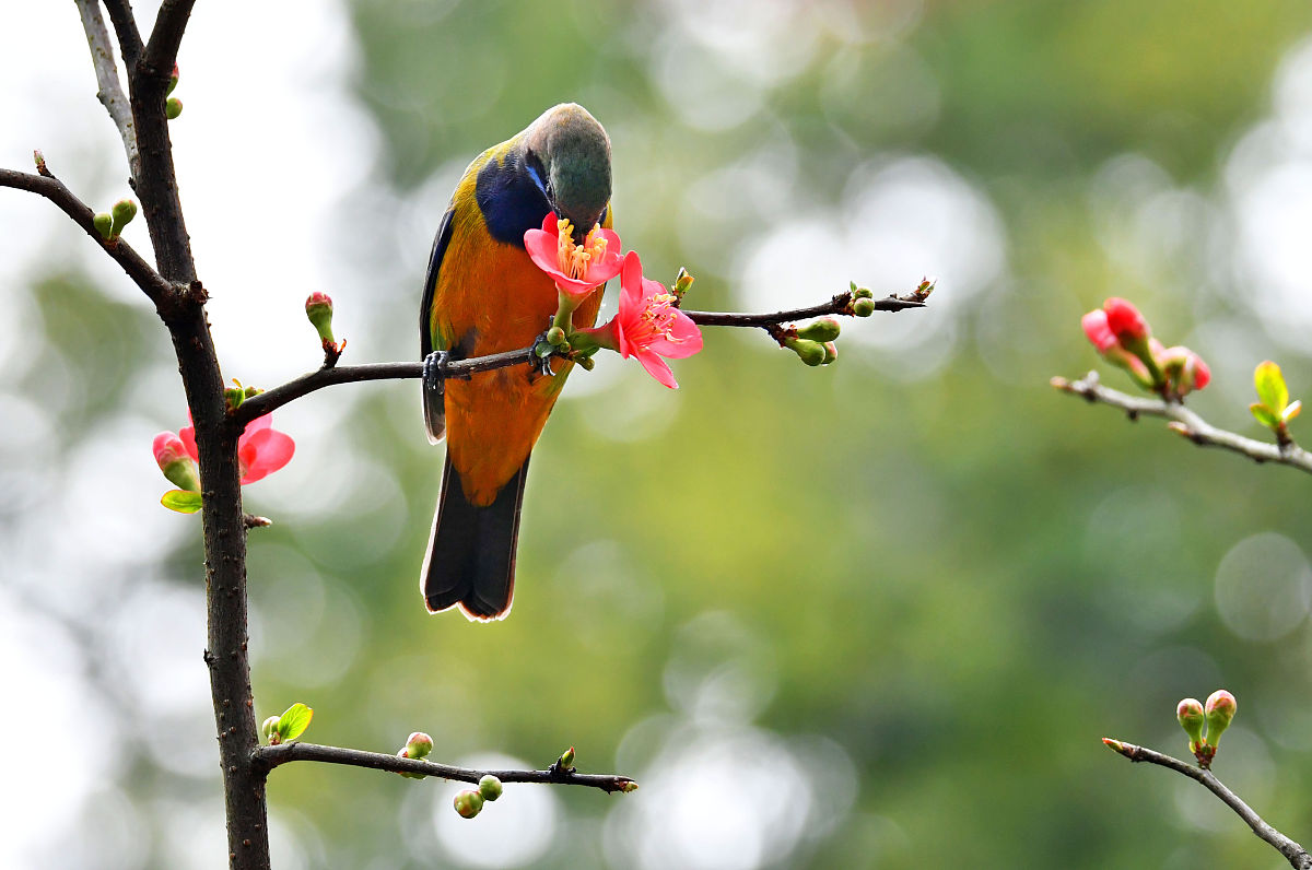 烟台城府职业学校2021招生简章：2000个名额等你来拿！