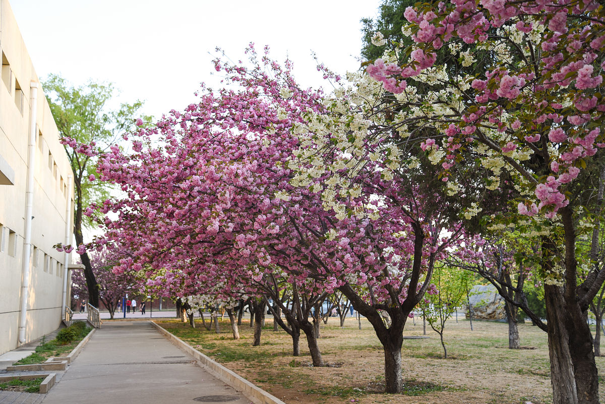 北京工业大学耿丹学院产品设计专业怎么样