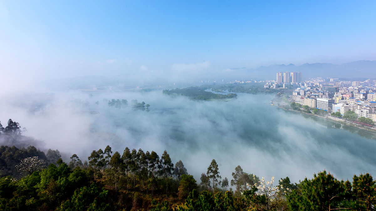 广西城市职业大学：本科招生，培养应用型人才