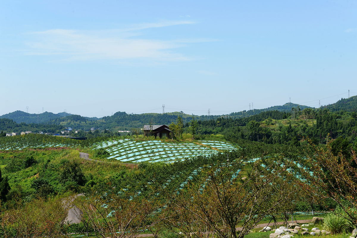 南充川北护士学院地址在哪里 乘车路线