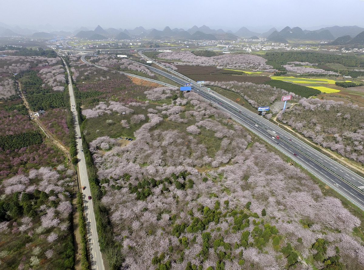 贵阳至北海高速第六合同段：贵州省途经哪些城市？