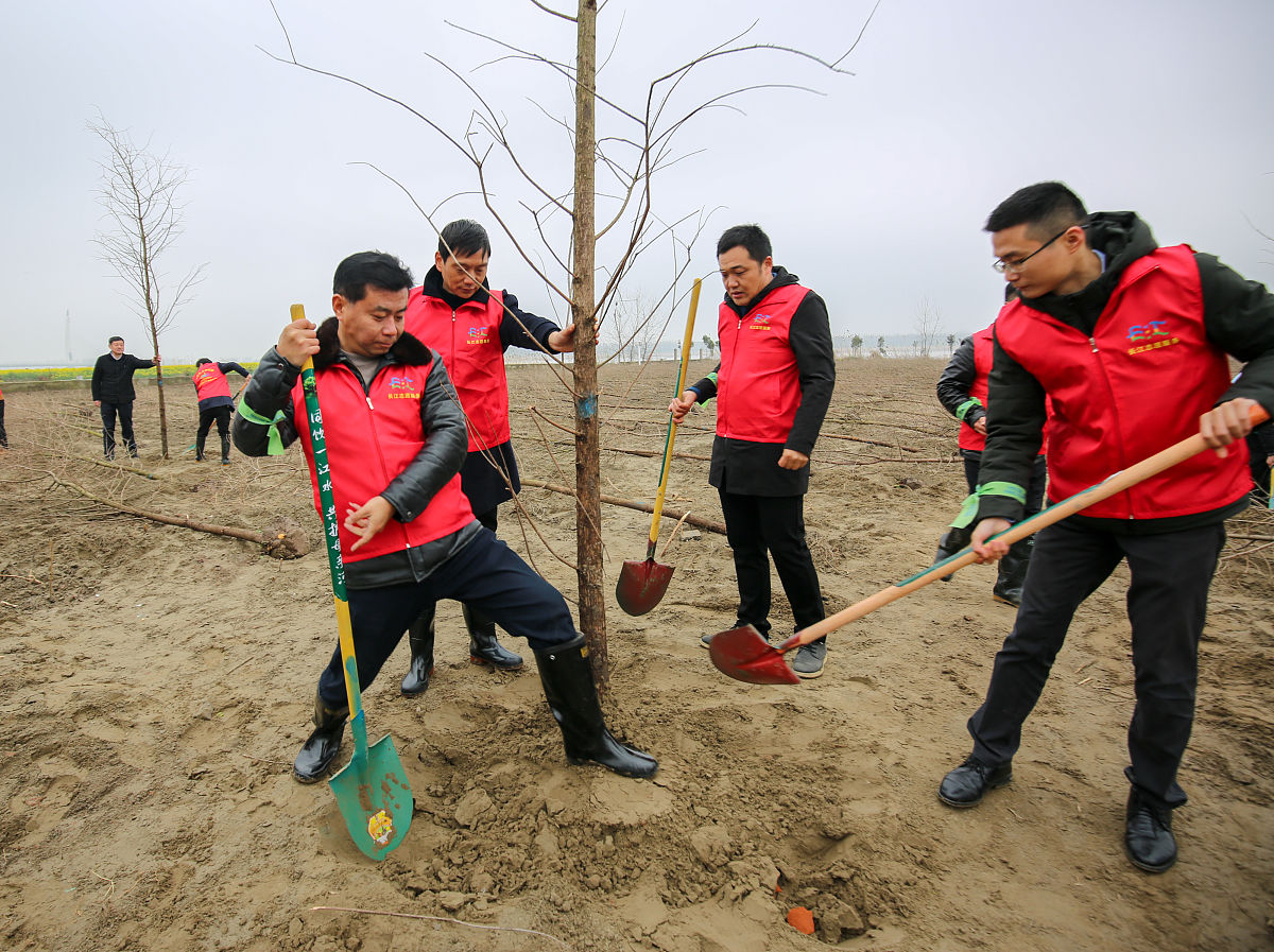 暑期三下乡社会实践项目：企业实习立项书