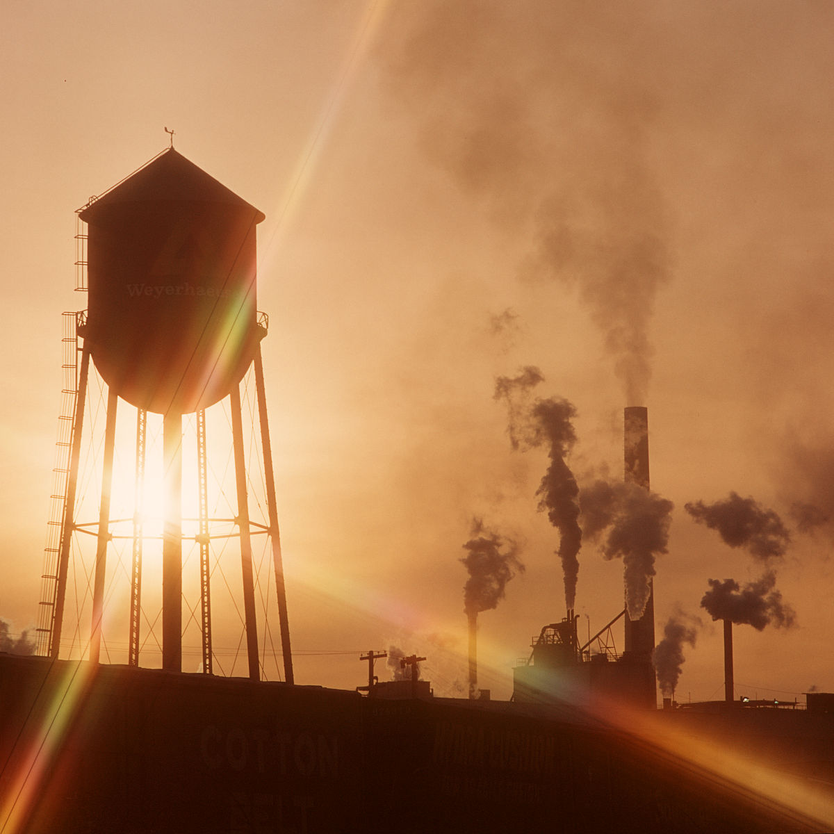 The mild beams of sunlight rushed down through the thick leaves kissing me句子中beams的意思