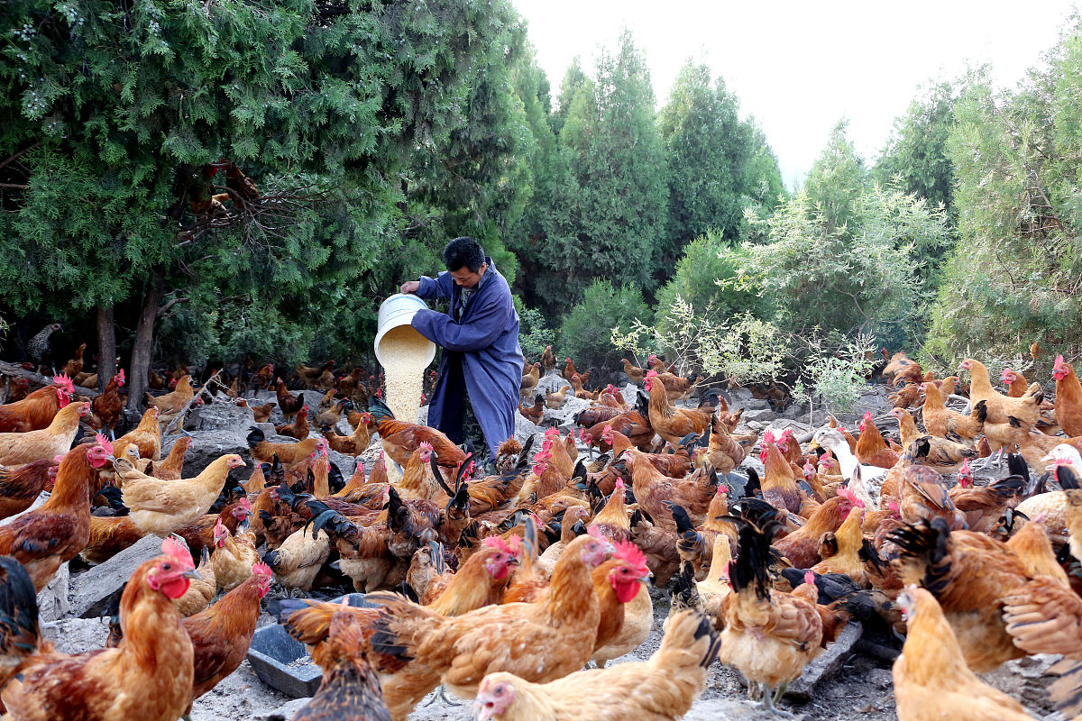 枣庄职业学院物流管理专业涉及哪些课程