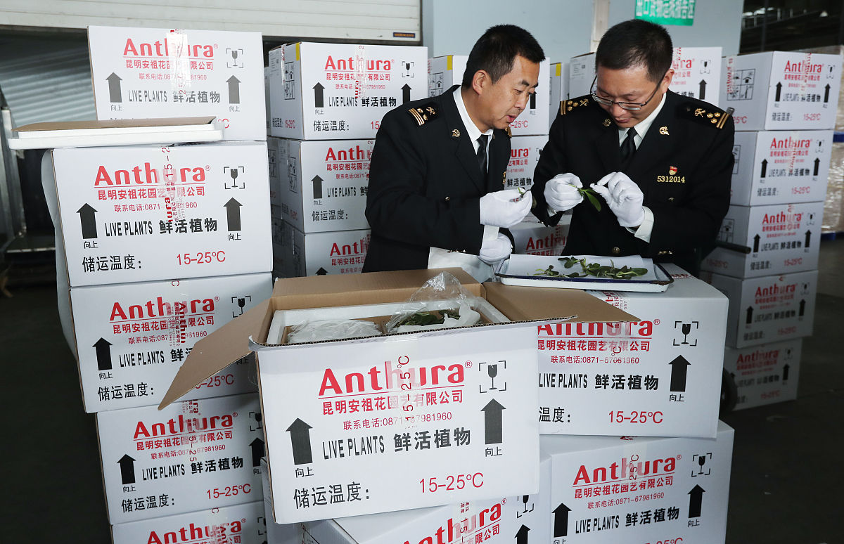 云南主要口岸进出口货物通关需要多少时间