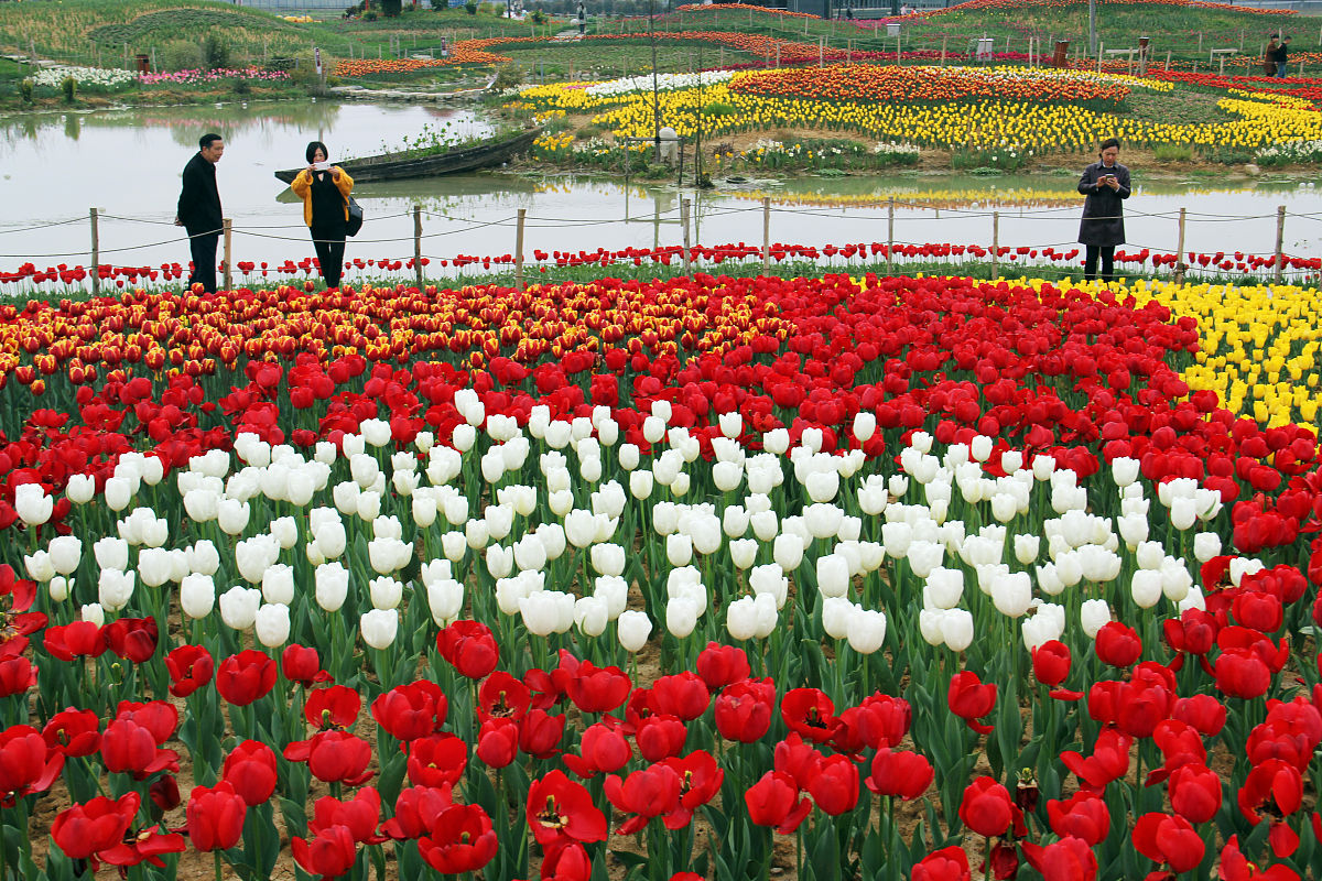 杭州江南专修学院新媒体艺术系专业介绍 - 培养具有创新精神和实践能力的新媒体艺术人才