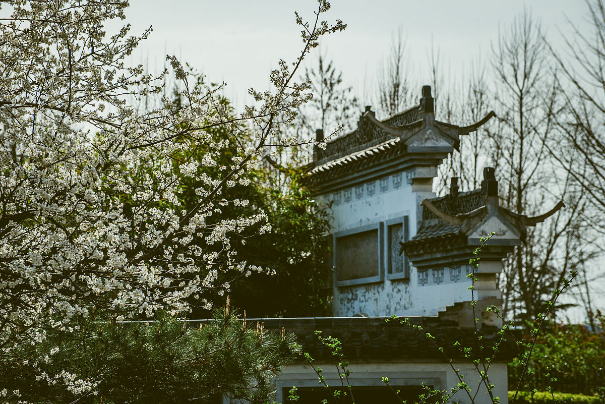 2021年3月21日,山东临沂书法广场春暖花开.