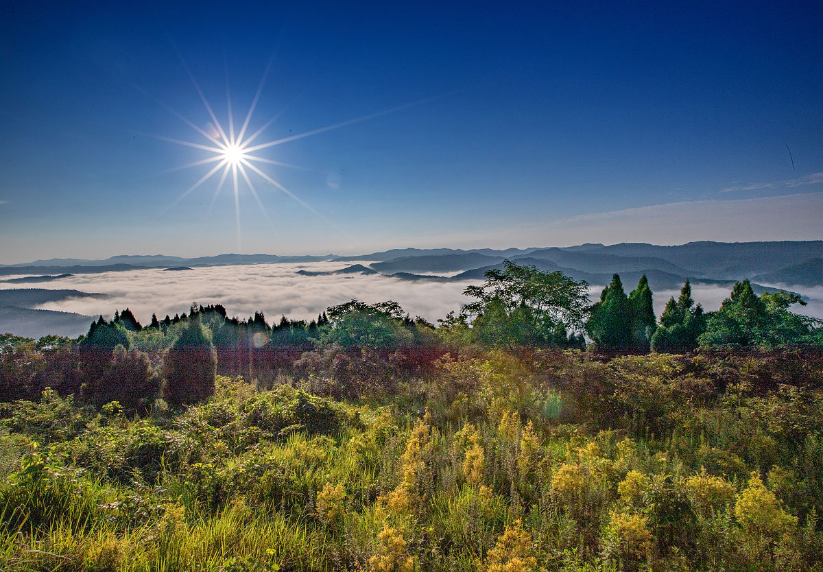 四川哪个大专学校铁道工程技术专业好