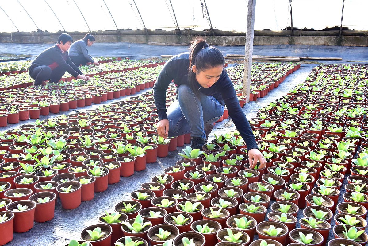 道真职业教育培训中心果蔬花卉生产技术教学质量如何