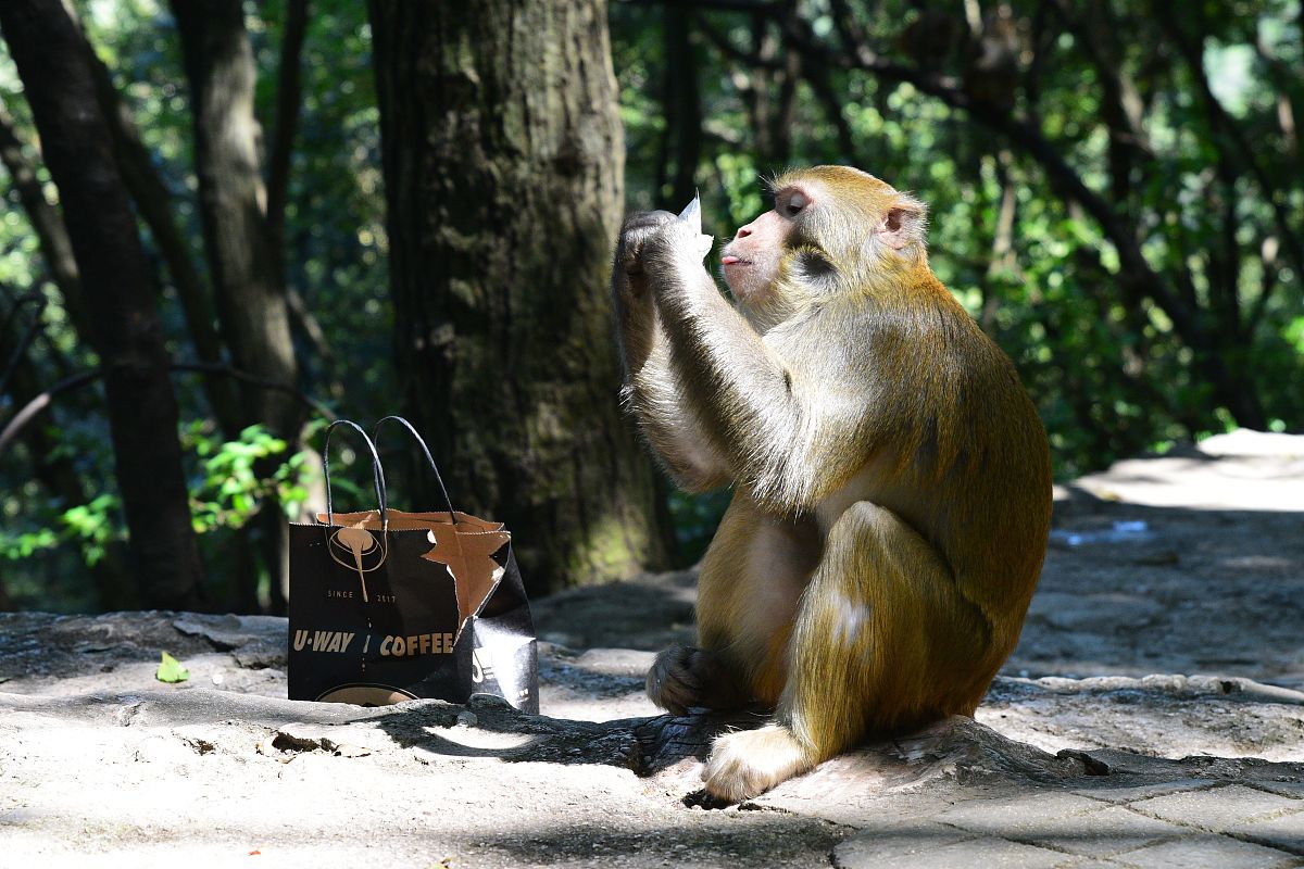贵阳轻轨学校2021年招生要求【推荐】