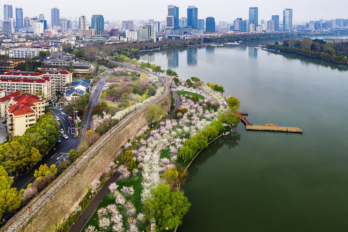 南京玄武湖：城市中心的宁静绿洲