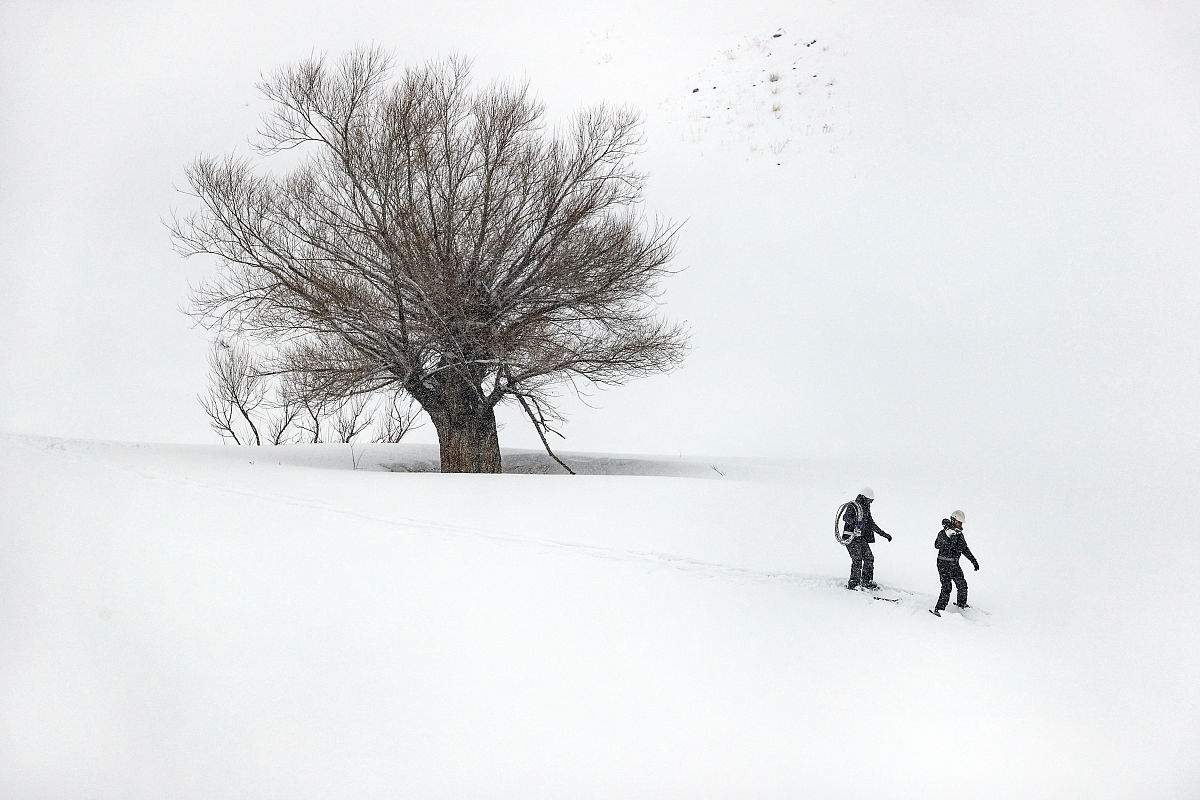 请对论文《基于人工智能技术的电力系统故障诊断与预测》的章节21 传统方法的局限性进行写作保证其内容合理性和逻辑性不要乱写 ：