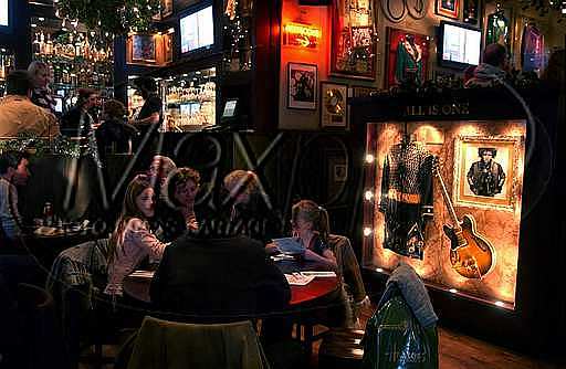 Vegas Fun: Concerts, Dining, and More! - Why I Don't Gamble