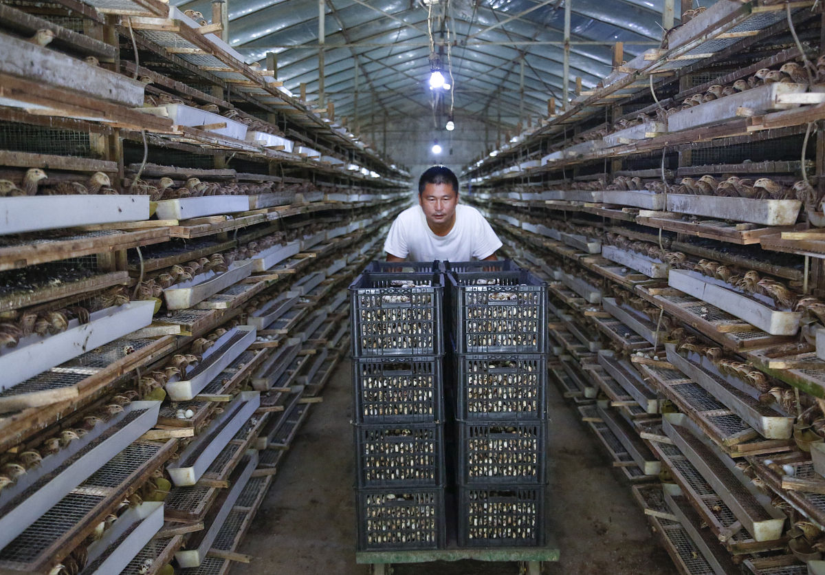 普洱农业学校畜禽生产技术专业就业前景如何