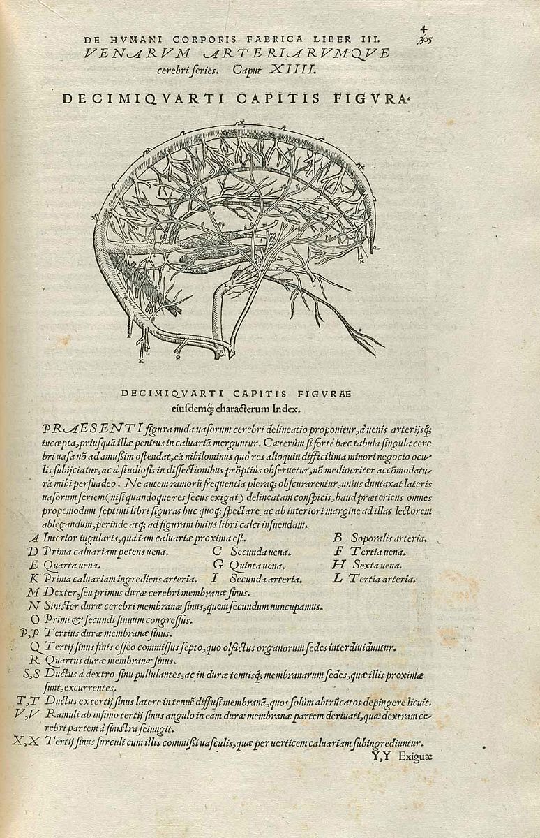 Acta Geodynamica et Geomaterialia 期刊：地球动力学与地球材料学研究