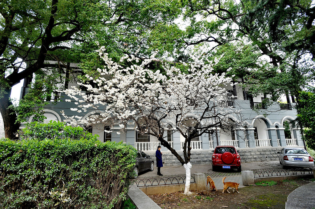 曲阜中医药学校3+2大专专业2023年招生简章：中医、针灸推拿、中药学等