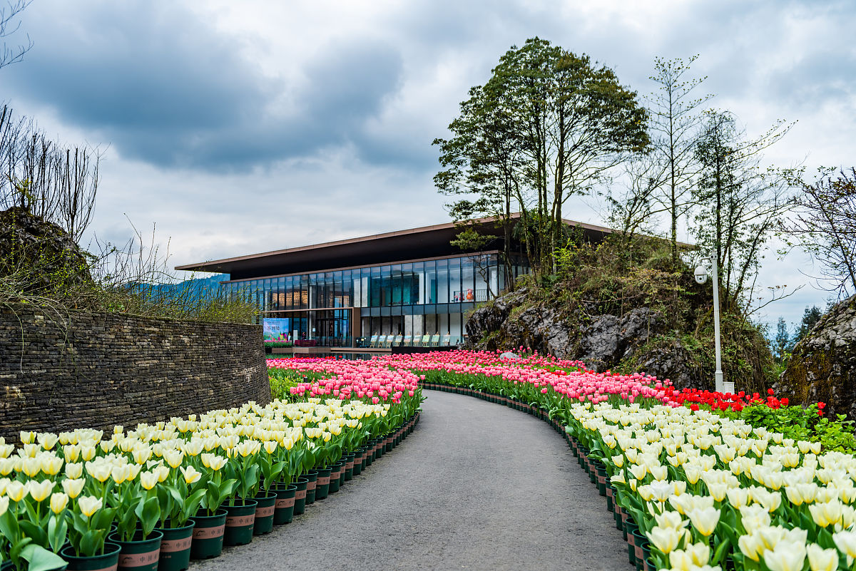 雨城雅安职业学校排名 你知道吗