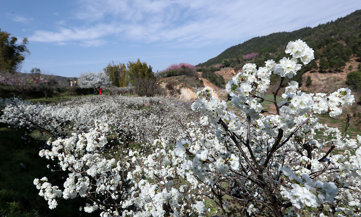 昆明初中生报考卫校指南：2022年入学条件及准备