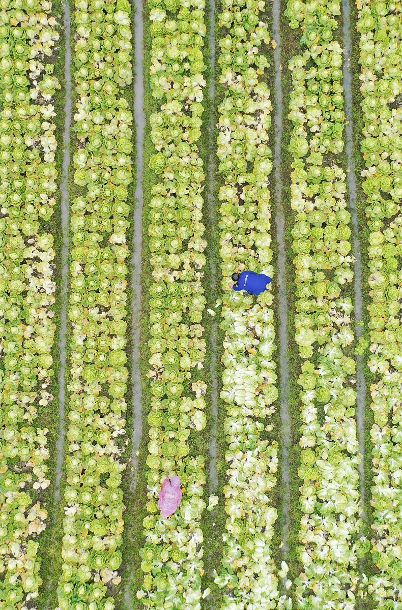 永州财务会计学校2022年招生简章好麽