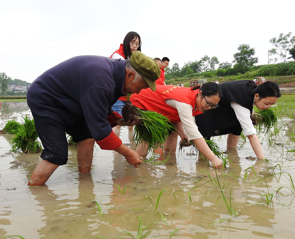 乡村研学之旅：种地、摸鱼、开荒，收获满满