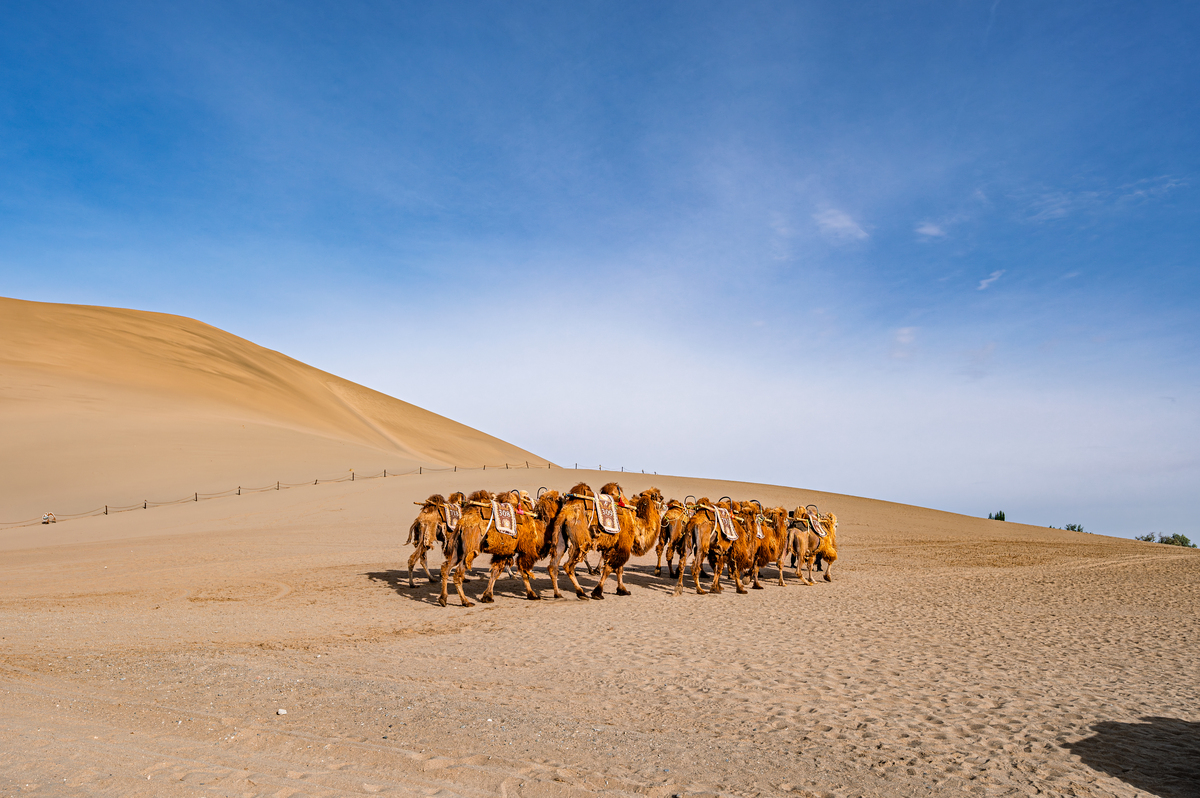 嘉峪关4日游记：探秘雄关，感受历史与自然魅力